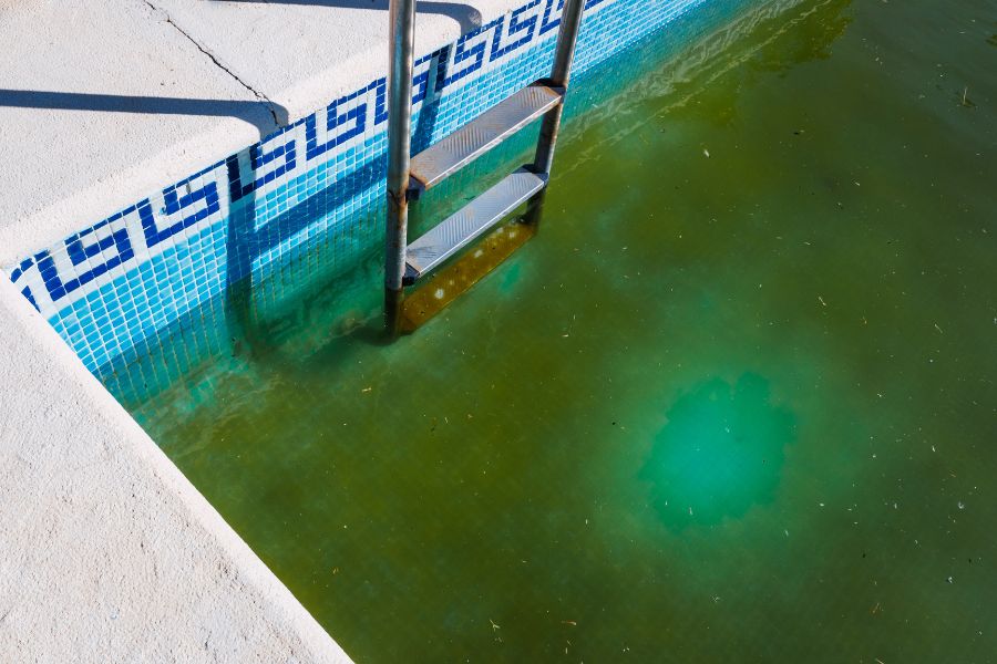 éliminer les algues dans une piscine